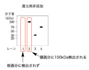 解説画像